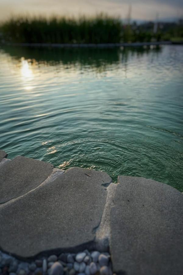 Agriturismo Villa Adimari Cerreto Guidi Dış mekan fotoğraf