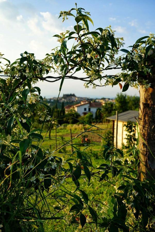 Agriturismo Villa Adimari Cerreto Guidi Dış mekan fotoğraf