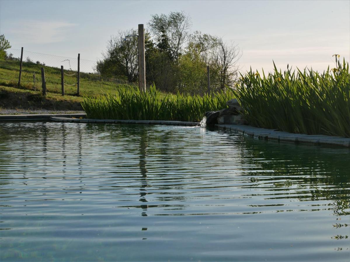 Agriturismo Villa Adimari Cerreto Guidi Dış mekan fotoğraf