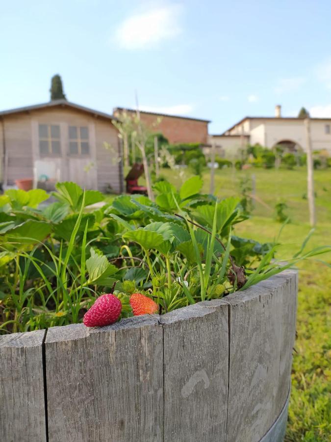 Agriturismo Villa Adimari Cerreto Guidi Dış mekan fotoğraf