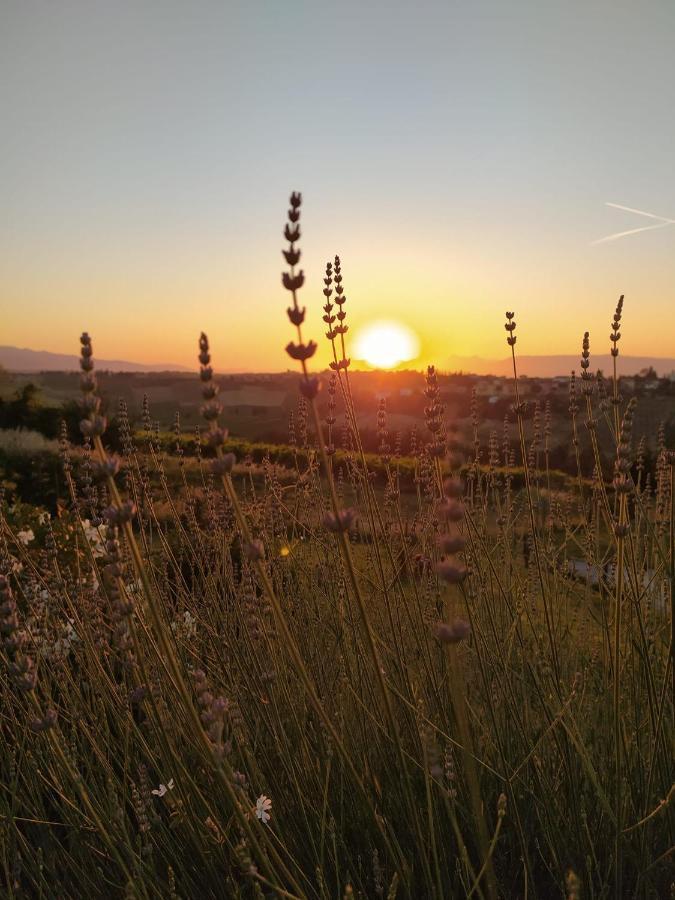 Agriturismo Villa Adimari Cerreto Guidi Dış mekan fotoğraf