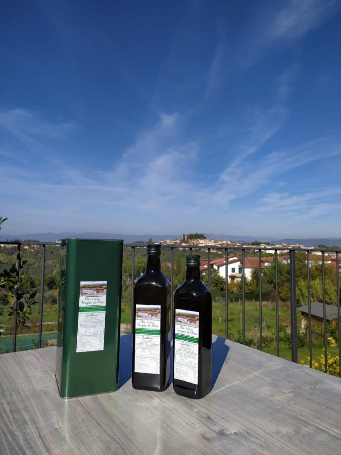 Agriturismo Villa Adimari Cerreto Guidi Dış mekan fotoğraf